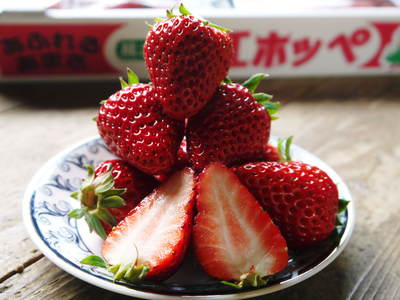 熊本県菊池市産!有機栽培の水田ごぼう 今まさに最旬食材!期間限定商品のためご注文はお急ぎ下さい!_a0254656_17463174.jpg