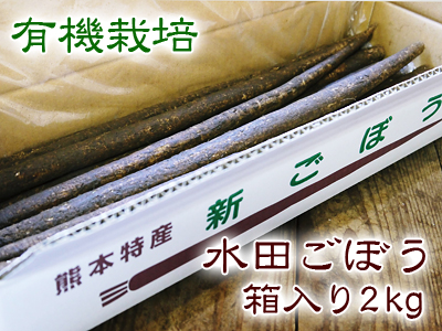最旬食材!無農薬・無化学肥料栽培で育てた熊本県菊池市産の「有機栽培の水田ごぼう」早い者勝ちです!_a0254656_18311562.jpg