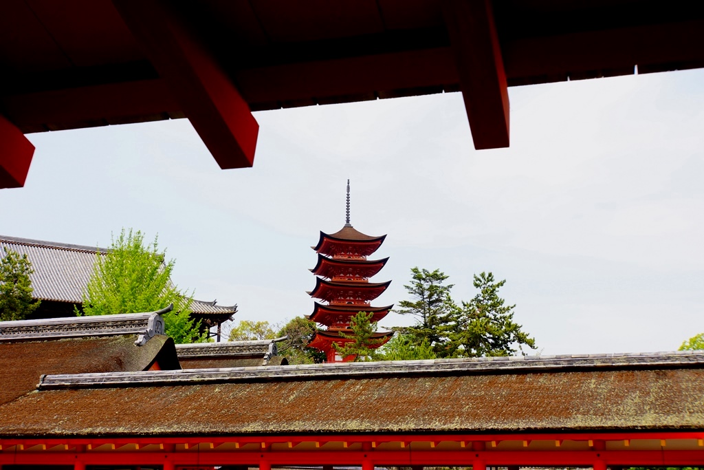 Shrine（広島県　宮島・厳島神社）_e0223456_9815.jpg