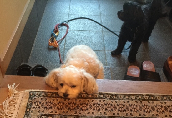 b0181457_01170119.jpeg