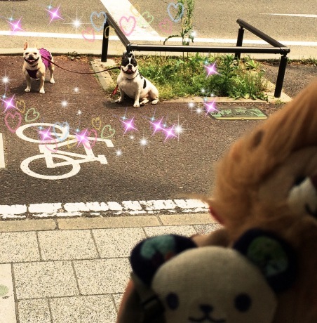 c0186460_10455395.jpeg