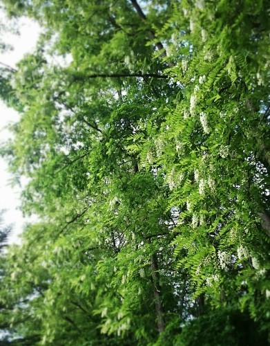 f0236260_23224907.jpg