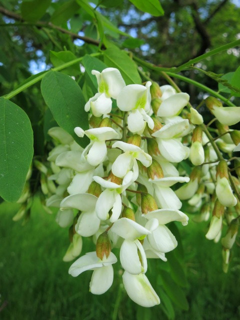 f0236260_23304283.jpg