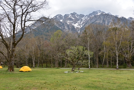 桜の咲く東北の旅　4/18～5/10　（最終）　ニリンソウ咲く徳沢_c0303868_10243215.jpg