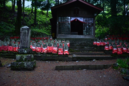 桜の咲く東北の旅　4/18～5/10　（最終）　ニリンソウ咲く徳沢_c0303868_10351647.jpg