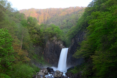 桜の咲く東北の旅　4/18～5/10　（最終）　ニリンソウ咲く徳沢_c0303868_91424.jpg