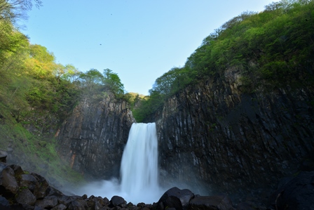 桜の咲く東北の旅　4/18～5/10　（最終）　ニリンソウ咲く徳沢_c0303868_935564.jpg