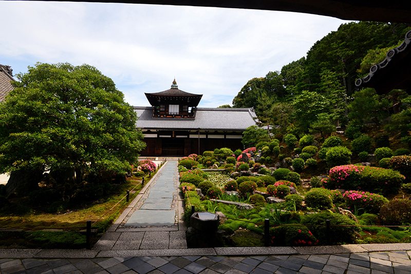 東福寺・開山堂　サツキ_c0317868_16581090.jpg