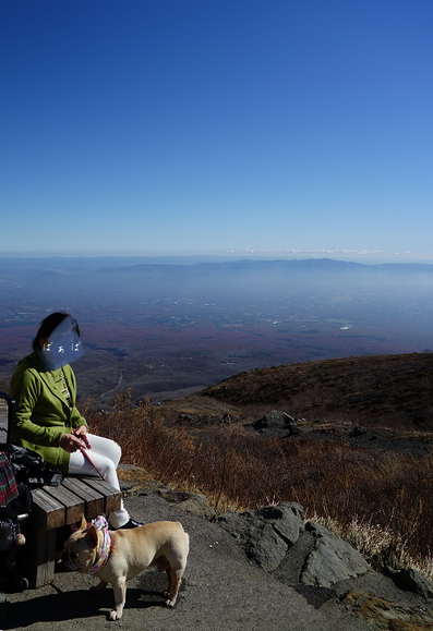 d0071970_1593883.png