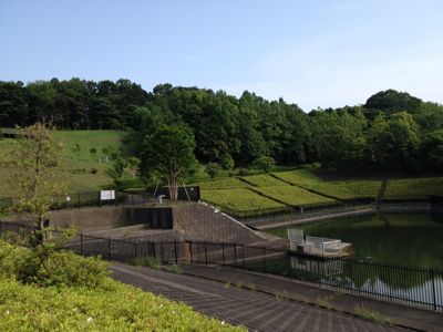 e0217871_2235243.jpg