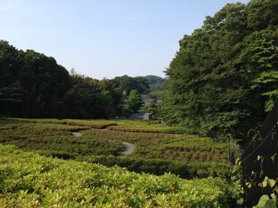 e0217871_2235410.jpg