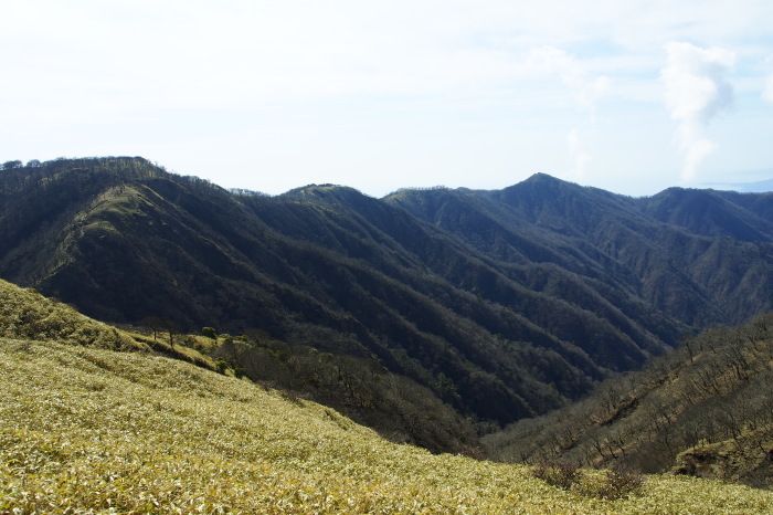 e0307372_17291276.jpg