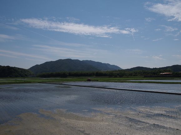 f0005774_2134146.jpg