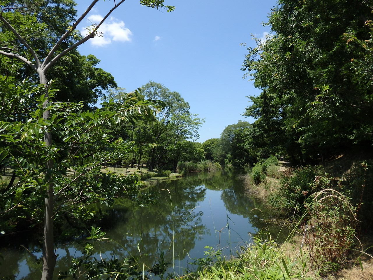 『河跡湖(かせきこ)公園を歩いて・・・・・』_d0054276_20243315.jpg