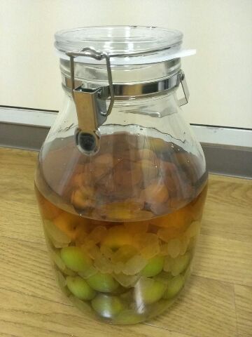 梅仕事(実行の巻)_b0117785_1345530.jpg