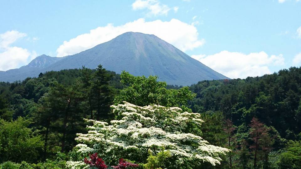 c0186691_9364958.jpg