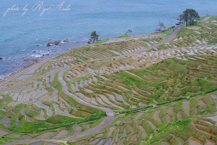 白米千枚田_f0332795_22580411.jpg