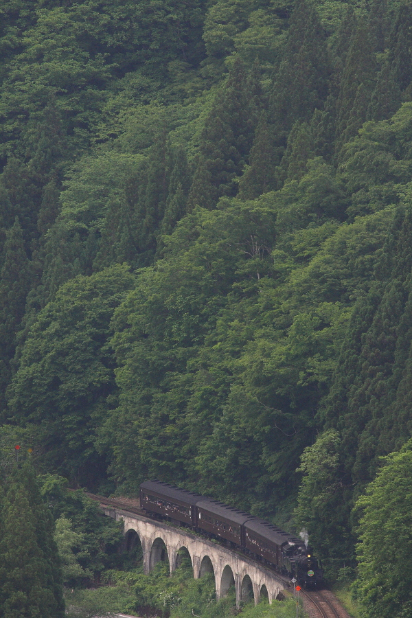 緑の山に白い眼鏡橋 - 2016年新緑・只見 - _b0190710_23341369.jpg