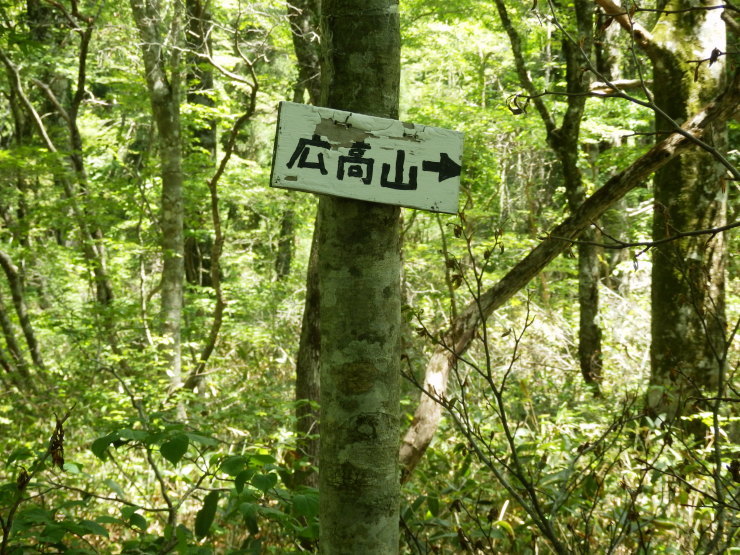 後冠山~広高山~冠山_f0219710_14035686.jpg