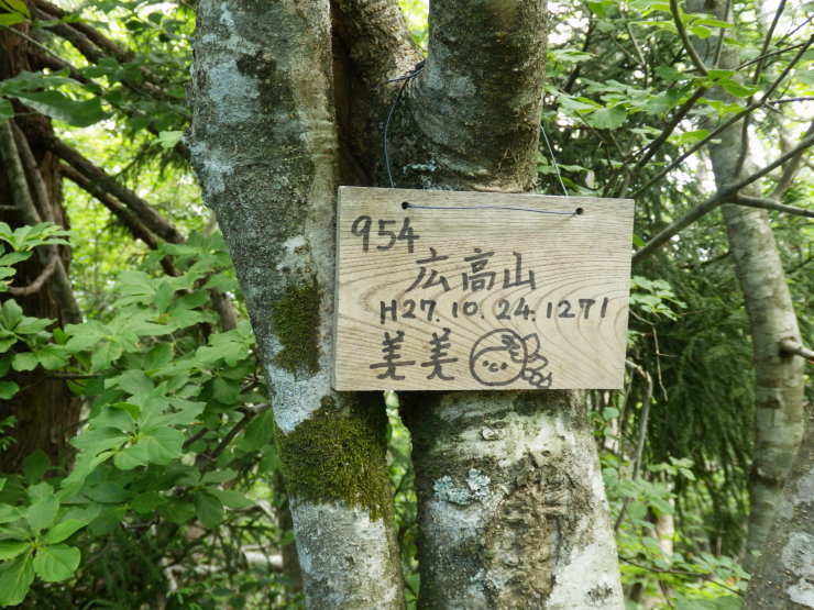 後冠山~広高山~冠山_f0219710_14091237.jpg