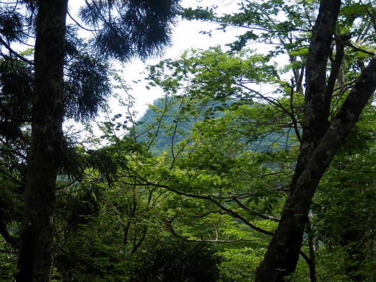 後冠山~広高山~冠山_f0219710_14105929.jpg