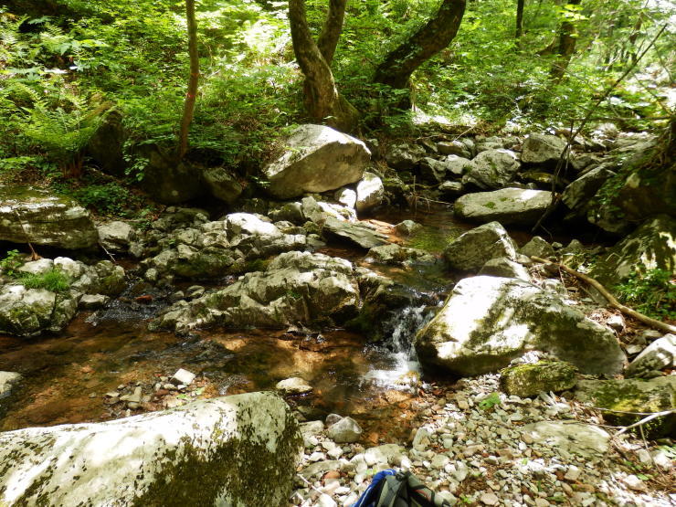 後冠山~広高山~冠山_f0219710_14145533.jpg