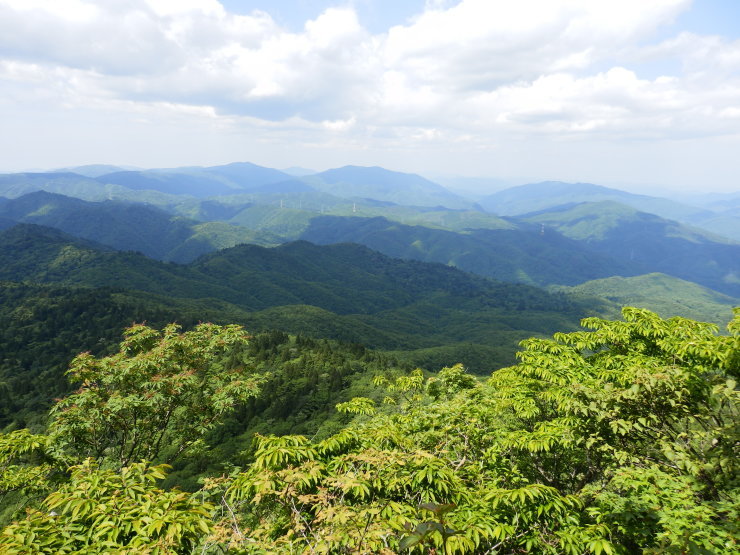 後冠山~広高山~冠山_f0219710_15021604.jpg