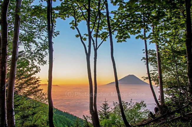 赤と緑　絶景富士山！_d0160611_05574999.jpg