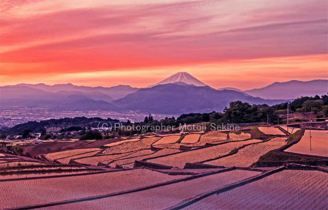 赤と緑　絶景富士山！_d0160611_05581098.jpg