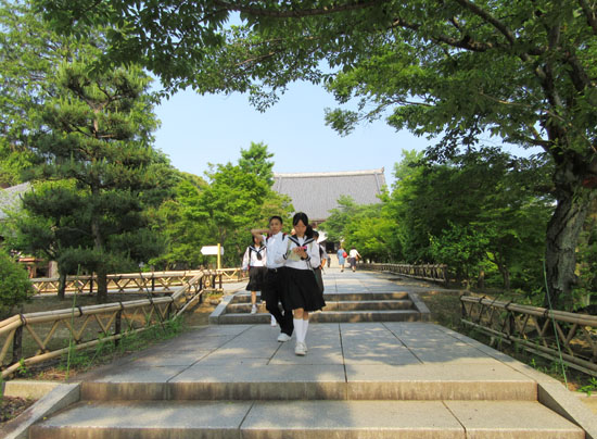智積院 青もみじ_e0048413_19155817.jpg