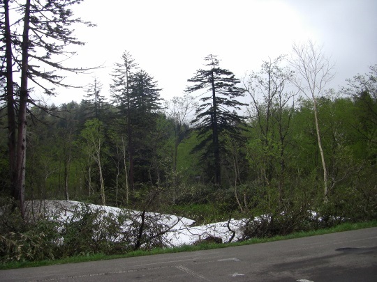 c0074721_14563362.jpg