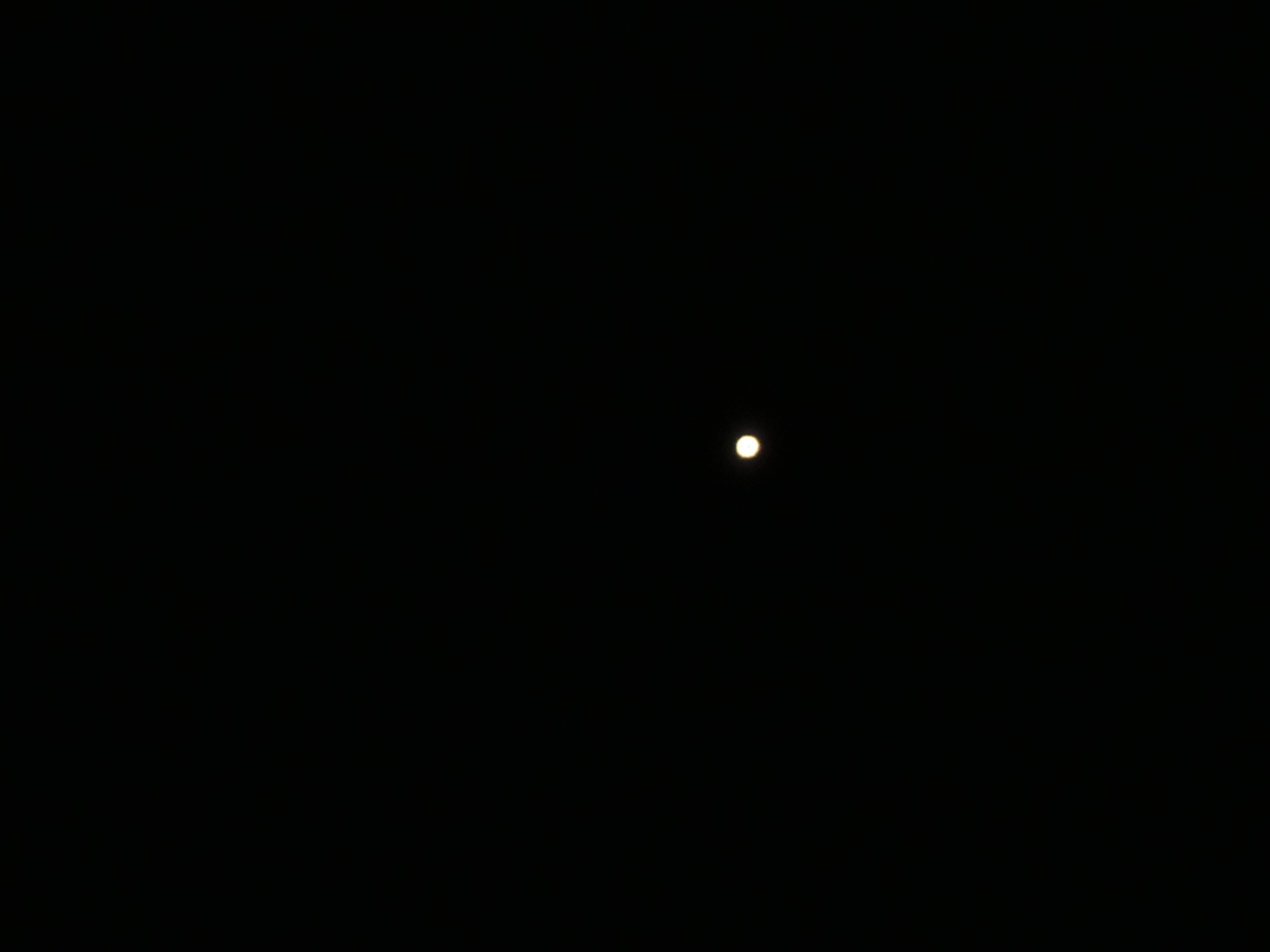 a0188023_20480066.jpg