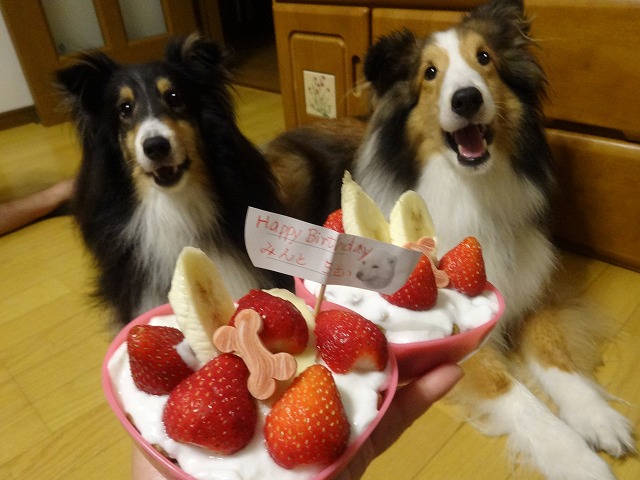 祝☆みんと5才_e0195743_12485888.jpg