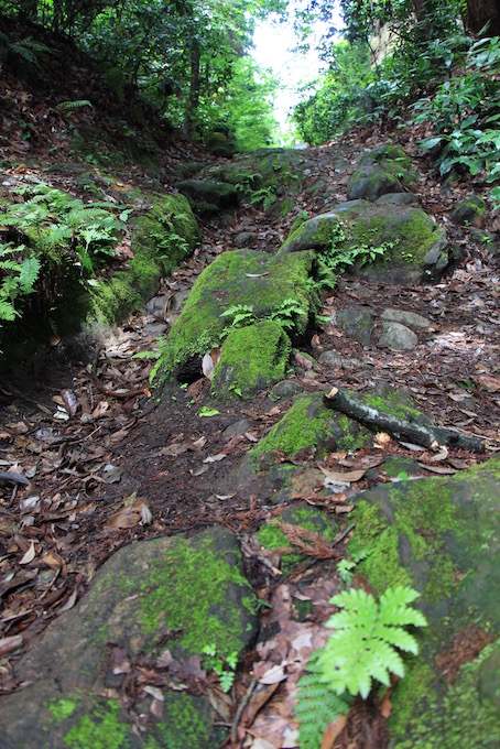 鎌倉への道　〜　朝比奈切通しを歩く_e0295348_1221321.jpg