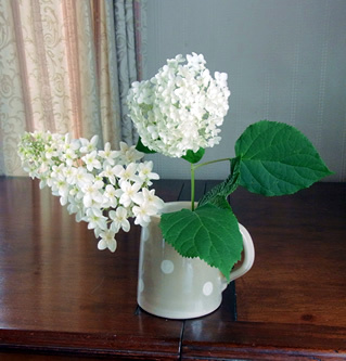 丸と三角の紫陽花 Paty Kobe 丸と三角の紫陽花 Paty Kobe