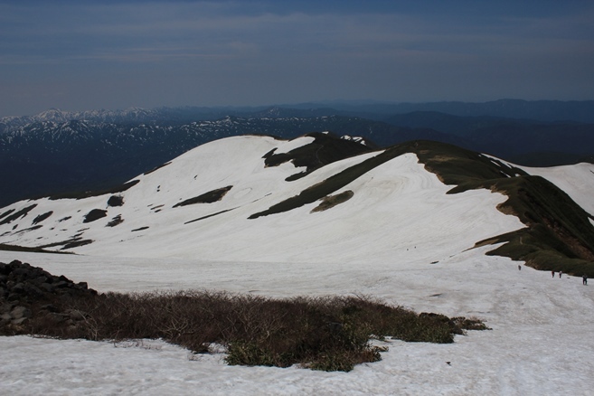 月山　ハクサンイチゲ_e0239458_21265730.jpg