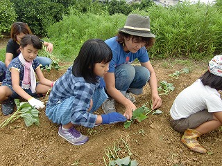 f0052059_16234986.jpg