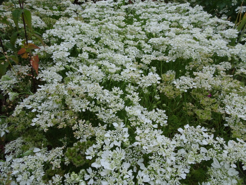 c0108460_23055425.jpg