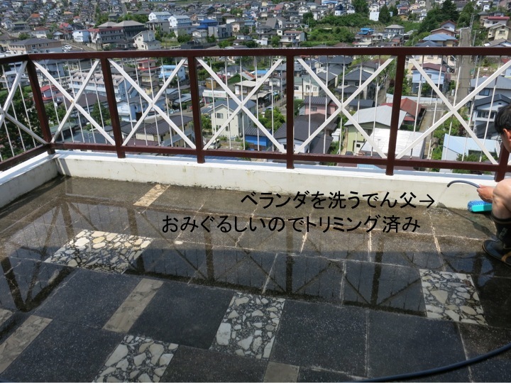 梅雨が来る前に_c0260460_11231142.jpg
