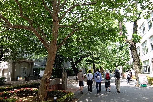 池袋から水道橋まで歩く 16 6 4 舞岡公園の自然２
