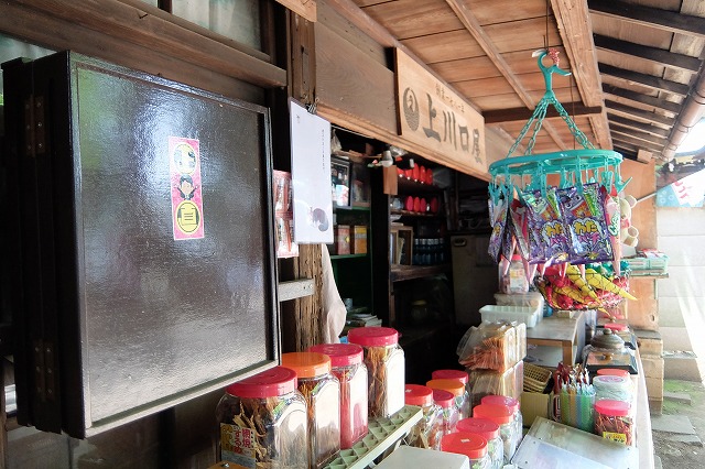 池袋から水道橋まで歩く 16 6 4 舞岡公園の自然２