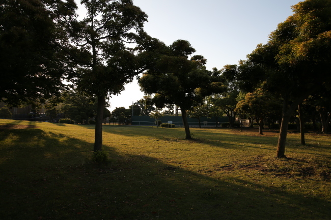 本牧市民公園で朝散歩_f0310873_06495628.jpg