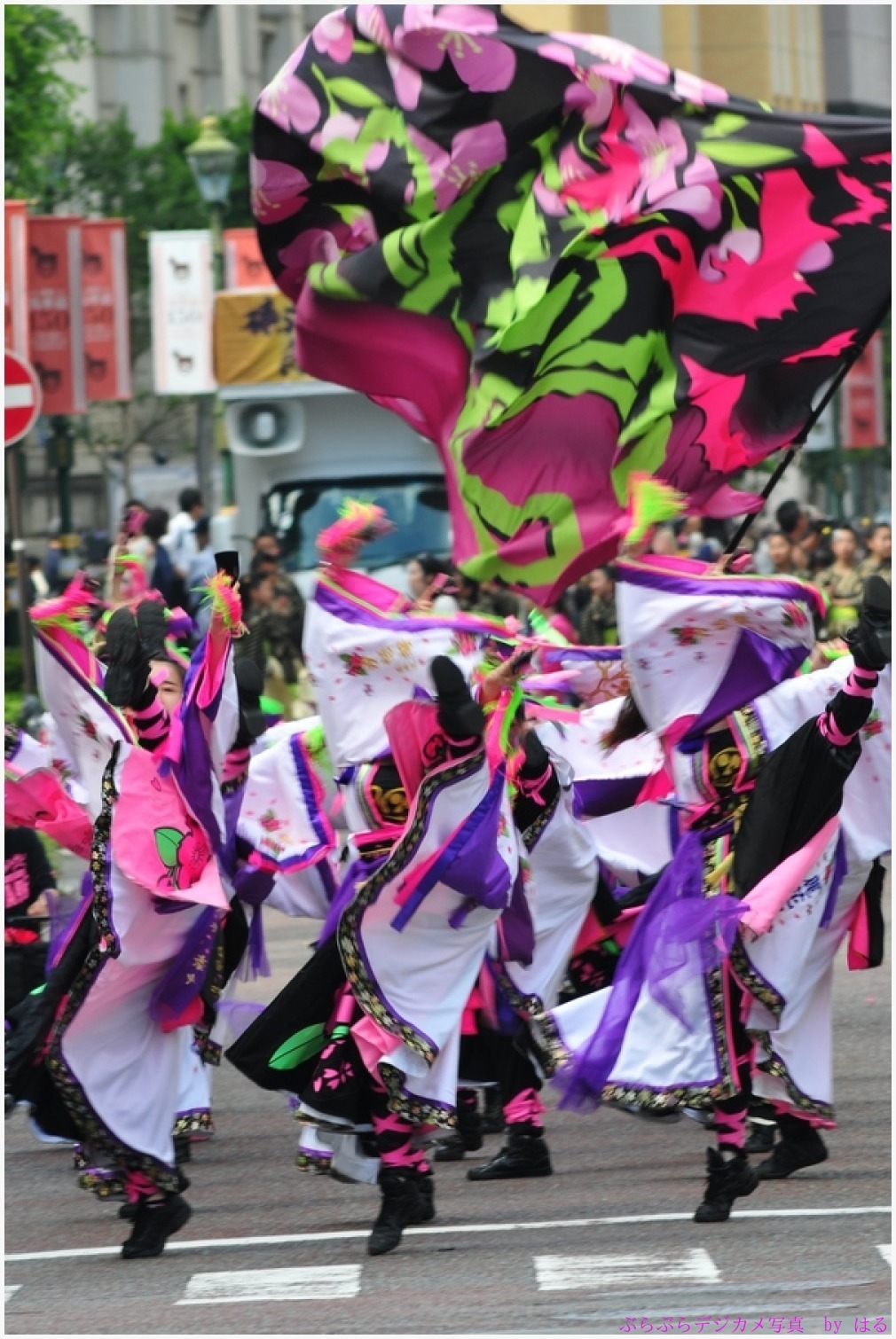 第一回横浜よさこい祭り 2016 　（５）　須賀連・REIKA組・濱ばとん_b0104774_19234720.jpg
