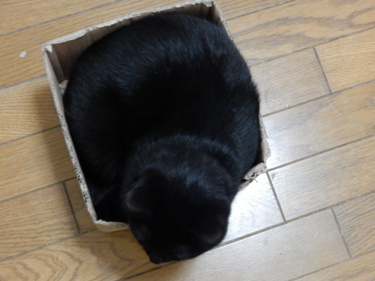 魅惑の箱_e0355177_19024382.jpg