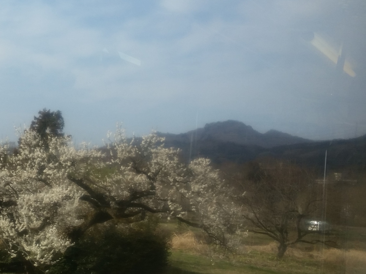 c0013687_17393920.jpg