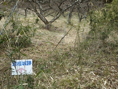 c0013687_17405631.jpg