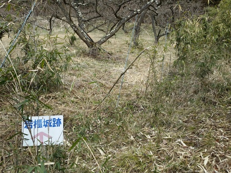 真田道を歩く・上州編(3)岩櫃城址を歩く_c0013687_17405631.jpg