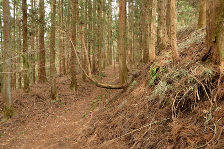 真田道を歩く・上州編(3)岩櫃城址を歩く_c0013687_1747345.jpg