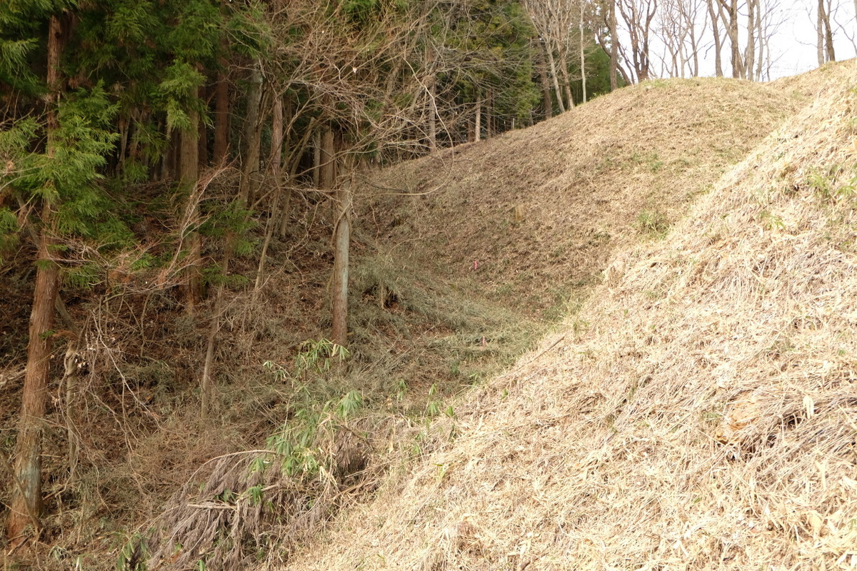 真田道を歩く・上州編(3)岩櫃城址を歩く_c0013687_17501620.jpg