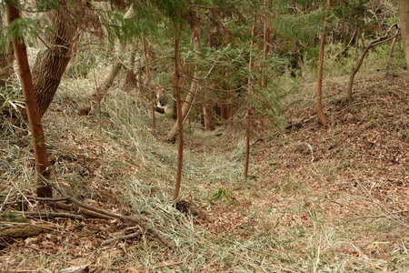 c0013687_175036.jpg
